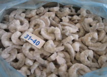 冷凍冰鮮品招商 攜手共贏，開啟海鮮財富新篇章